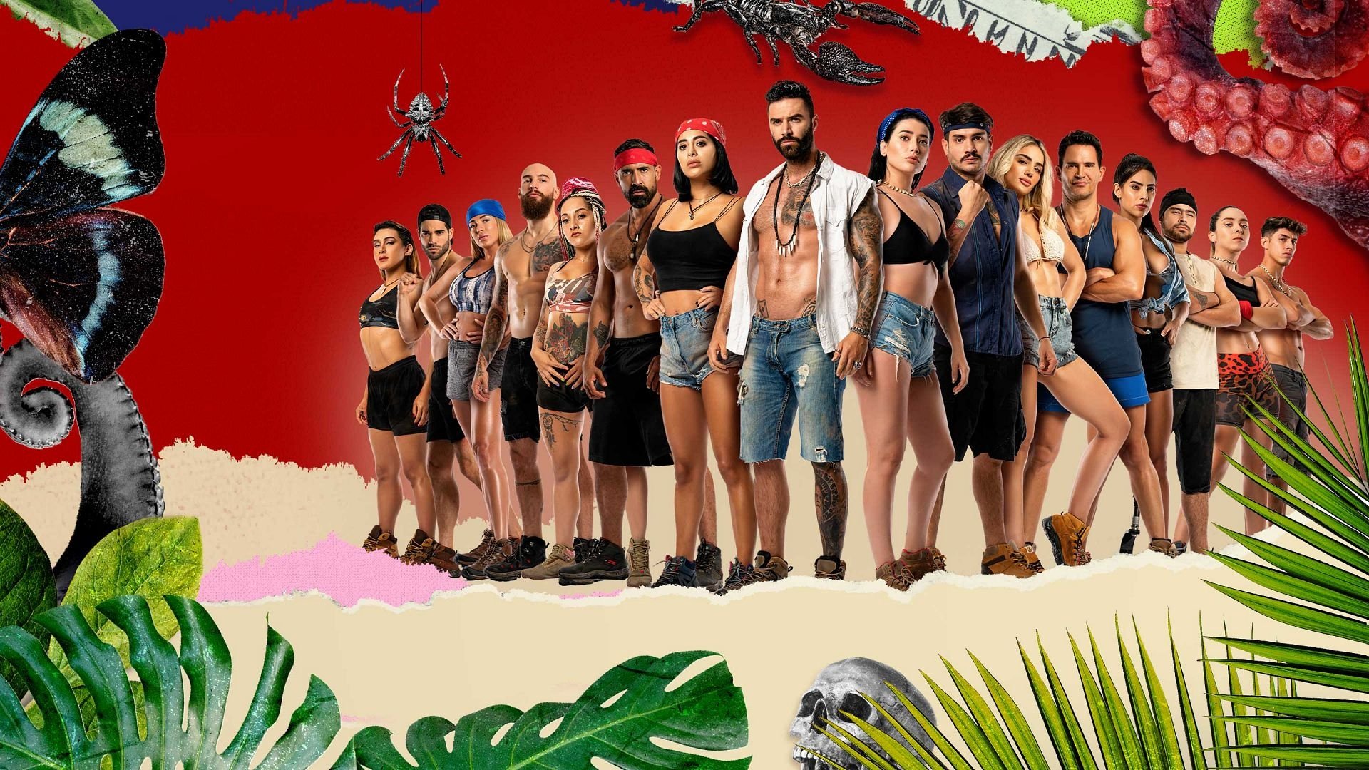 Backdrop for Resistiré