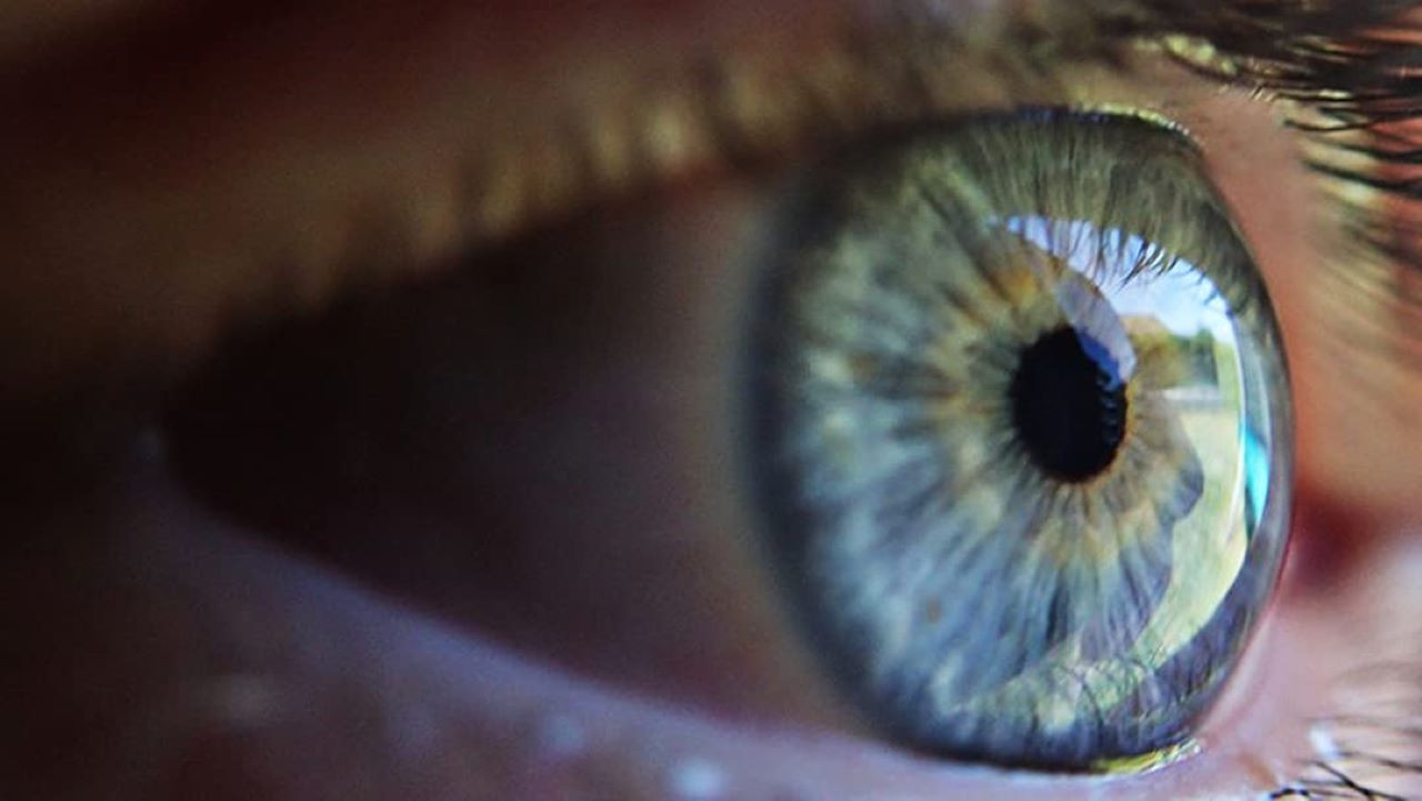 Backdrop for An Eye on You: Citizens Under Surveillance