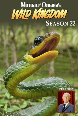 Poster for Season 22