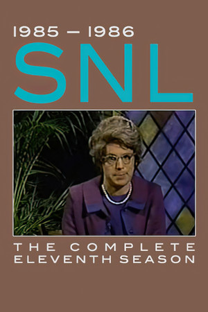 Poster for Season 11