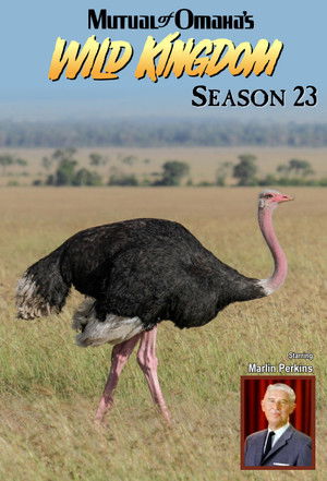 Poster for Season 23