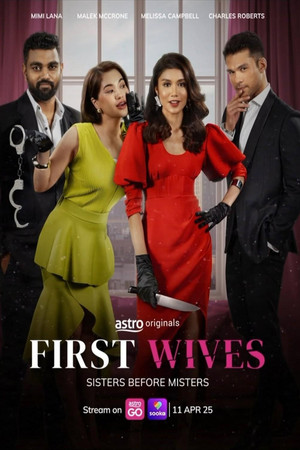 Poster for Miniseries