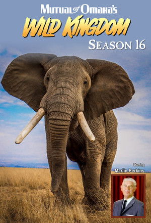 Poster for Season 16