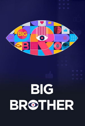 Poster for Big Brother 6