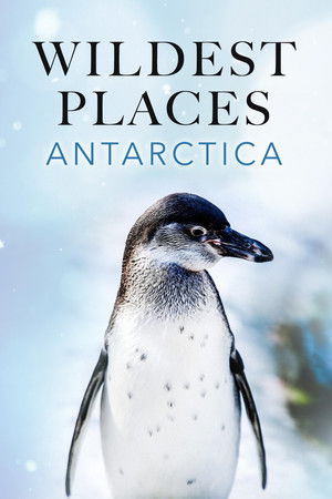 Poster for Wildest Antarctica