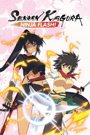 Poster for Ninja Flash