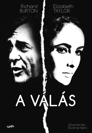 Poster for Miniseries