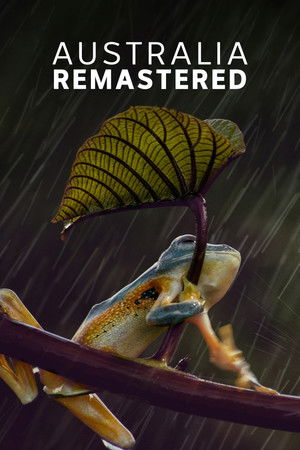 Poster for Forces of Nature