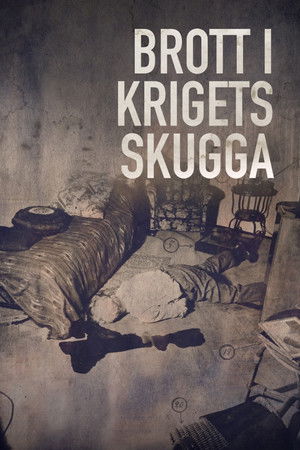 Poster for Crimes in the Shadow of War