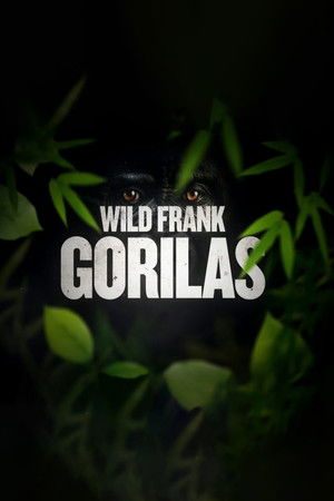 Poster for Season 12