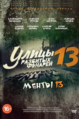 Poster for Season 13