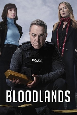 Poster for Series 2
