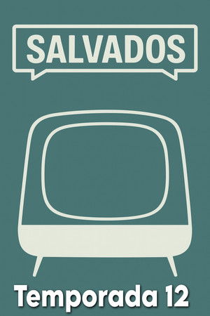 Poster for Season 12