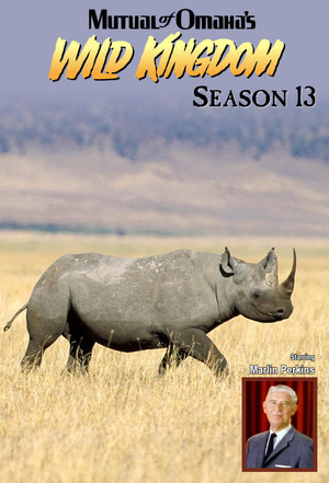 Poster for Season 13