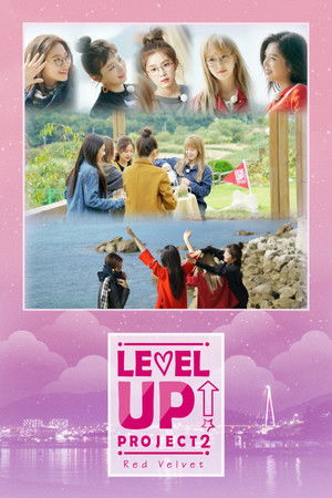 Poster for Level Up! Project 2