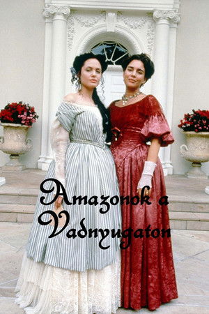 Poster for Miniseries