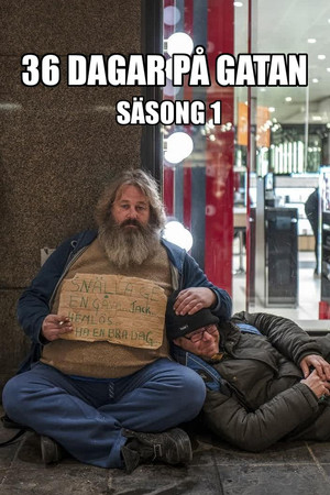 Poster for Miniseries