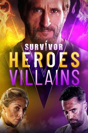 Poster for Heroes V Villains