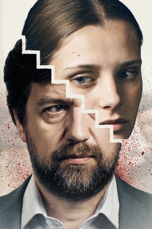 Poster for The Cinderella Murder