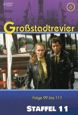 Poster for Season 11