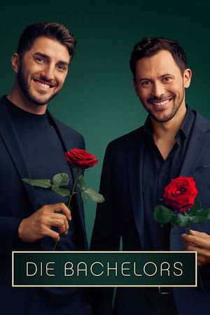 Poster for Season 14