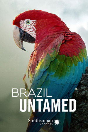 Poster for Pantanal