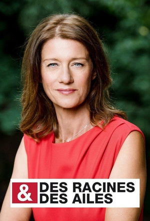 Poster for Season 29