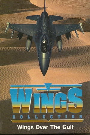 Poster for Wings Over the Gulf