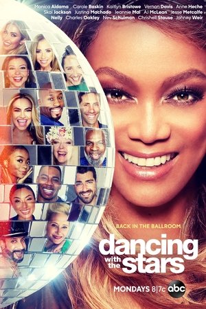 Poster for Season 29