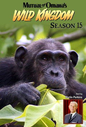 Poster for Season 15