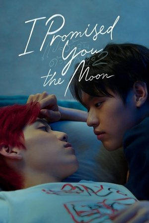 Poster for I Promised You The Moon