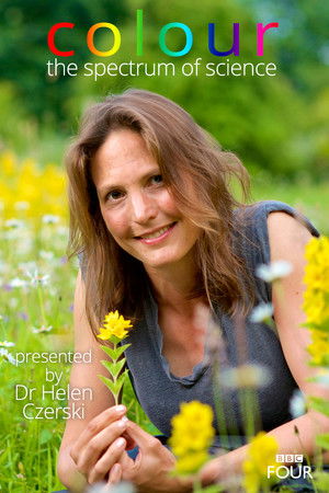 Poster for Miniseries