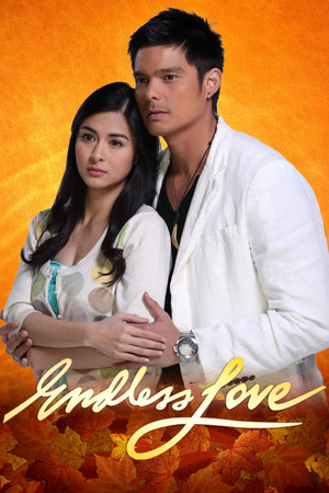Poster for Endless Love