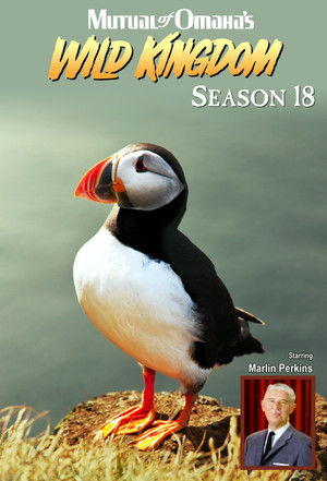 Poster for Season 18