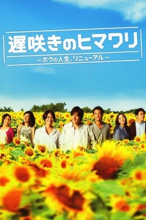 Poster for Osozaki no himawari season 1