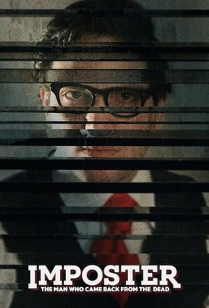 Poster for Miniseries