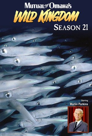 Poster for Season 21