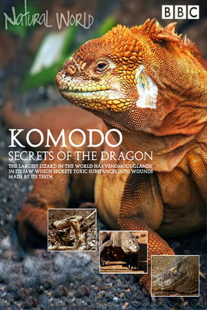 Poster for Season 31