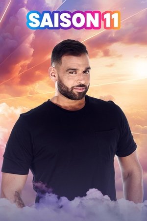 Poster for Season 11