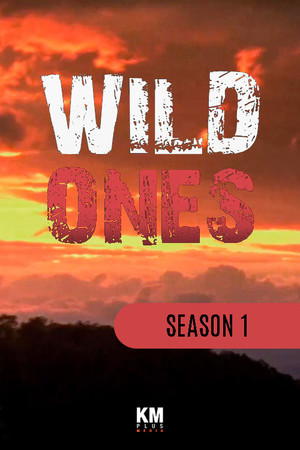 Poster for Season 1
