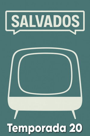 Poster for Season 20