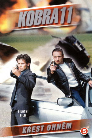 Poster for Season 14