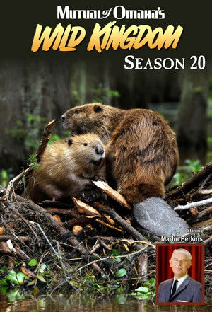 Poster for Season 20