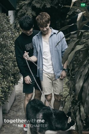 Poster for The Next Chapter