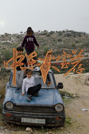 Poster for 中东大宝荐