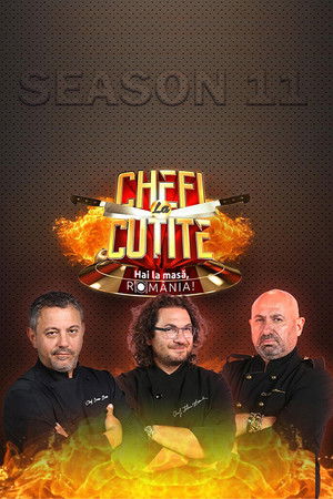 Poster for Season 11