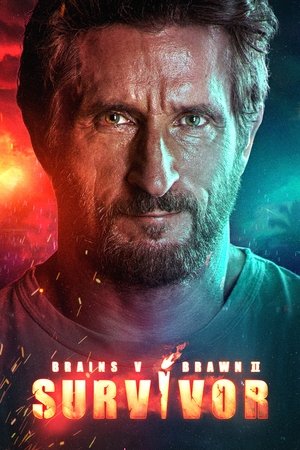 Poster for Brains V Brawn II