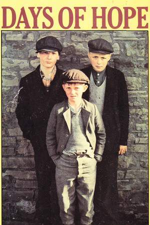 Poster for Miniseries