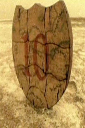 Poster for The Quest (For the Crest)