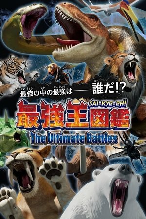 Poster for The Ultimate Battles